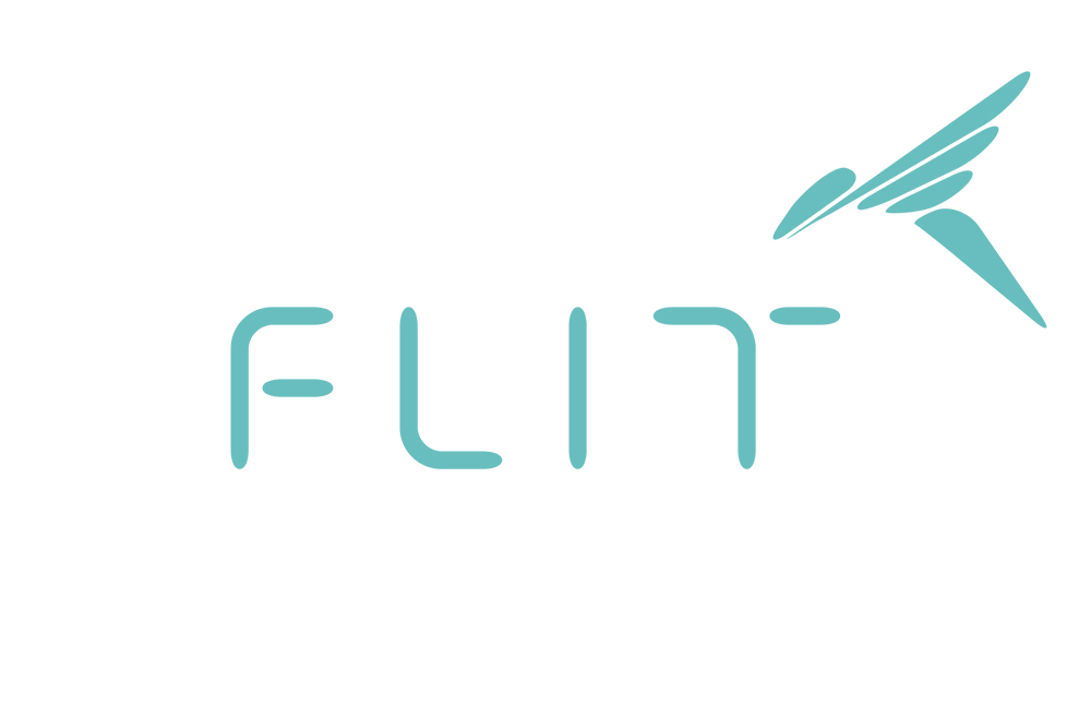Flit lightweight folding ebike - new year, new name