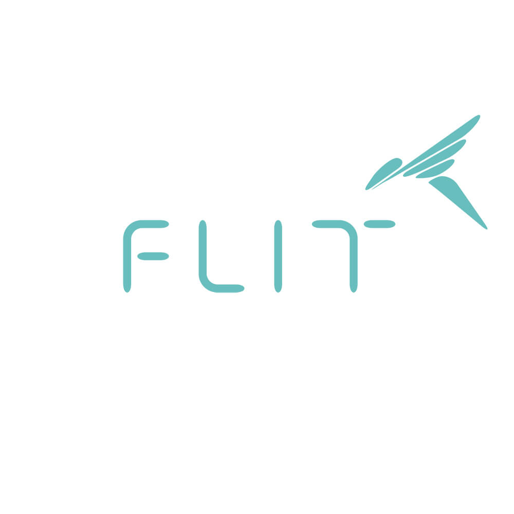 Old FLIT logog